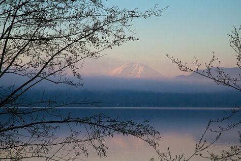 Lake Sammamish Washington, Sammamish Washington, Love In A Mist, Washington City, Friday Harbor, San Juan Island, Evergreen State, God Bless The Usa, Road Trip Ideas