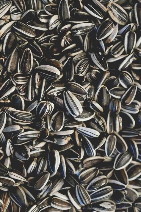 Benefits Of Sunflower Seeds, Sunflower Seeds Benefits, Healthful Foods, Seeds Benefits, Best Multivitamin, Sunflower Butter, Edible Oil, Good Sources Of Protein, Nuts & Seeds