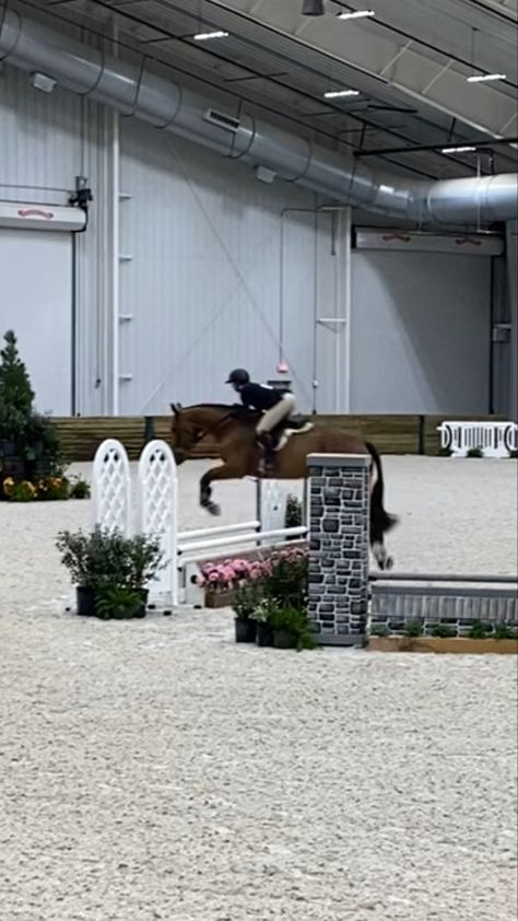 World Equestrian Center, Equestrian Aesthetic, Ocala Florida, Equestrian Center, Horse Show, Horse Life, Show Horses, Belgium, Equestrian