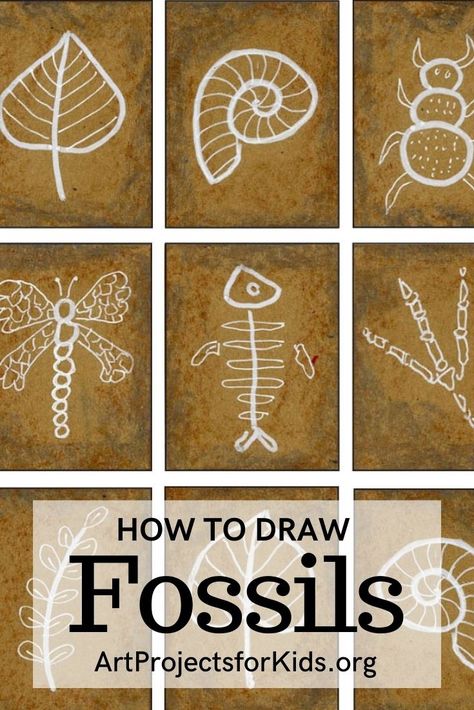 Learn how to draw a fossil, and make it look like it really is imprinted in stone. White lines on brown paper give them a much more realistic look. #howtodraw #tutorial #drawing #drawingtutorial #arttutorial #artprojectsforkids #howtodrawforkids Fossils Drawing, Fossil Drawing, Fossil Illustration, Fossils Lesson, Dino Crafts, Diy Fossils, Dinosaur Art Projects, Fossils Activities, Geology Art