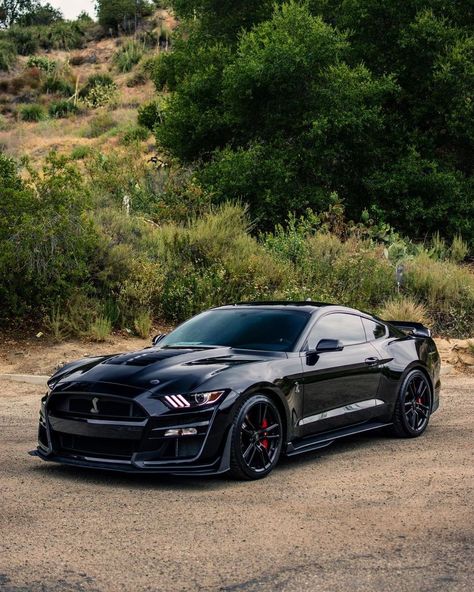 Black Mustang Gt, Mustang Gtr, Black Mustang, Shelby Car, Mustang Gt500, Aesthetic Cool, Ford Mustang Car, Ford Mustang Shelby Gt500, Mustang Cobra