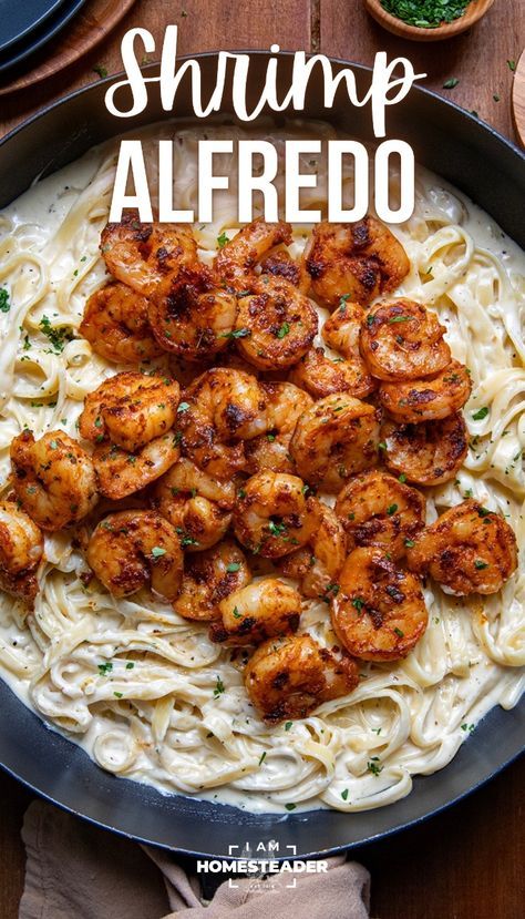 Shrimp Alfredo is tender fettuccine pasta tossed in a creamy alfredo sauce with sauteed seasoned shrimp. It’s a dish that can be ready in under 30 minutes for a flavorful main course any day of the week! Frozen Shrimp Alfredo Pasta, Blackened Shrimp Alfredo Pasta, Alfredo Speggetti, Shrimp For Alfredo Pasta, Chicken And Shrimp Fettuccine Alfredo, How To Season Shrimp For Alfredo, Healthy Shrimp Alfredo Recipe, Shrimp Spinach Alfredo Pasta, Blackened Shrimp Alfredo