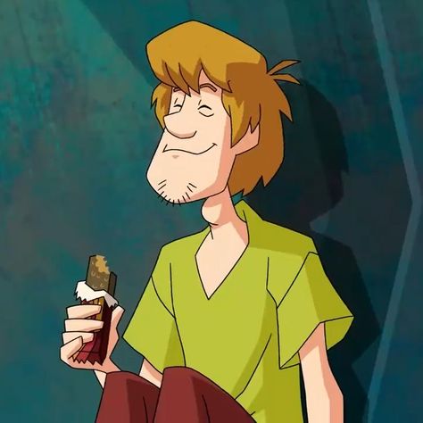 Scooby And Shaggy High, Shaggy Aesthetic, Scooby Doo Characters, Shaggy Scooby Doo, Mystery Gang, Scooby Doo Pictures, Male Cartoon, Scooby Doo Mystery Inc, Male Cartoon Characters