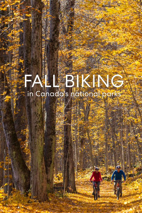 From leisurely family rides to thrilling mountain trails, uncover the perfect destinations for fall biking with Parks Canada. 🚴 Elk Island National Park, Riding Mountain National Park, Kluane National Park, Mountain Biking Trails, Canada National Parks, Bike Touring, Parks Canada, Canada Destinations, Mountain Bike Trails