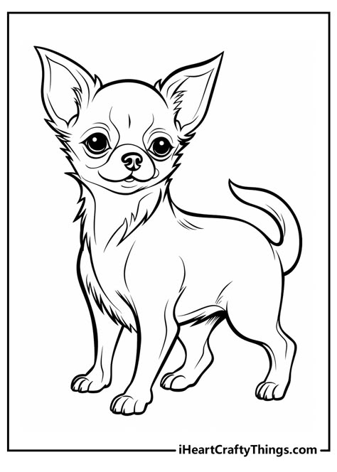 Chihuahua Sketch Drawing, Cute Dog Art Drawing, Chiwawa Dog Drawing, Chiwawa Drawings, Chihuahua Drawing Cartoon, Chihuahua Line Art, Chihuahua Tattoo Minimalist, Chihuahua Drawing Simple, Toy Poodle Drawing