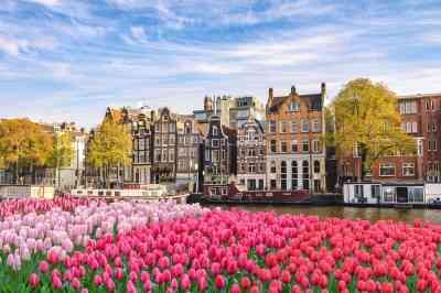 Amsterdam Tourist, Header Background, Netherlands City, Amsterdam Tulips, Amsterdam Restaurant, Tulip Season, Swiss Travel, Dutch House, Visit Amsterdam