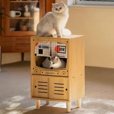 Outdoor cat house