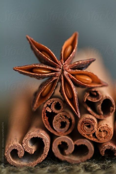 Raw Thai spices. Autumn Spices, Spices Photography, Thai Spices, Food Photography Inspiration, Foto Tips, Food Photography Styling, Spices And Herbs, Star Anise, Trik Fotografi