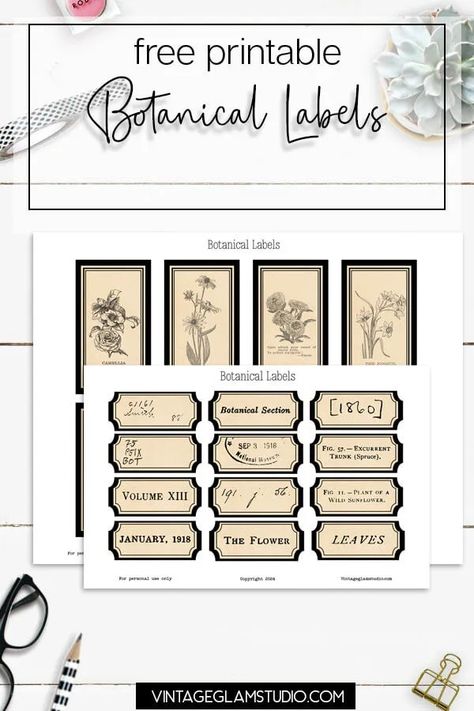 Free Botanical Labels and Stickers Printable - Free Herbal Printables, Label Templates Free Printable Editable, Free Printable Halloween Apothecary Labels, Apothecary Labels Free Printables Blank, Printable Lables, Vintage Labels Printables Free, Blank Apothecary Labels, Vintage Labels Printables, Labels Printables Free Templates