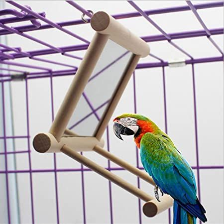 Amazon.com : Bird Mirror Bird Swing, Parrot Cage Toys,Swing Hanging Play with Mirror for Macaw African Greys Parakeet Cockatoo Cockatiel Conure Lovebirds Canaries by Old Tjikko，1 PC (3.7x3.5 x3.5inch) : Pet Supplies African Grey Parrot Toys, Finch Cage, Cockatiel Cage, Parrot Stand, Parrot Food, Cage Bird, Bird Cage Accessories, Bird Aviary, Bird Stand