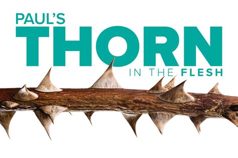 Paul's Thorn in the Flesh - Terradez Ministries Study Partner, Thorn In The Flesh, Gods Mythology, Romans 8 37, Bible Board, Biblical Truths, Bible Study Lessons, Night Prayer, Jesus Resurrection