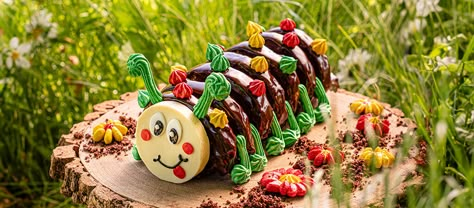 Paul Hollywood's Caterpillar Cake - The Great British Bake Off | The Great British Bake Off Caterpillar Cake Recipe, Chocolate Caterpillar Cake, Caterpillar Cake Wedding, Catapiller Cake, Colin The Caterpillar Cake, Great British Bake Off Recipes, Paul Hollywood Recipes, Aesthetic Eating, British Baking Show Recipes