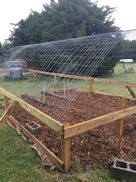 How to build a greenhouse for cheap that is also sturdy Pretty Greenhouse, Cute Greenhouse, Unique Greenhouse, Greenhouse Projects, Homemade Greenhouse, Beautiful Greenhouse, Cheap Greenhouse, Green House Ideas, Greenhouse Diy