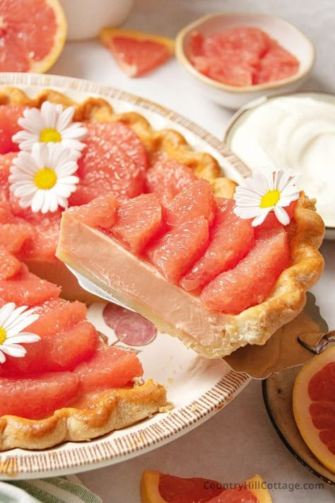 Create the perfect dessert for summer and Thanksgiving with this simple homemade grapefruit pie recipe. Made with sweetened condensed milk, a buttery pie crust or graham cracker crust, it’s filled with a creamy tart filling and grapefruit slices on top will have you swooning. The pie is full of flavor and a refreshing treat! It’s a great treat to eat with the family on holidays and celebrations, a lovely alternative to traditional pies such as lemon and key lime pie. | CountryHillCottage.com Grapefruit Pie Recipes, Tomato Desserts, Grapefruit Pie, Italian Cream Puff, Grapefruit Dessert, Grapefruit Tart, Grapefruit Recipes, Dessert For Summer, Buttery Pie Crust