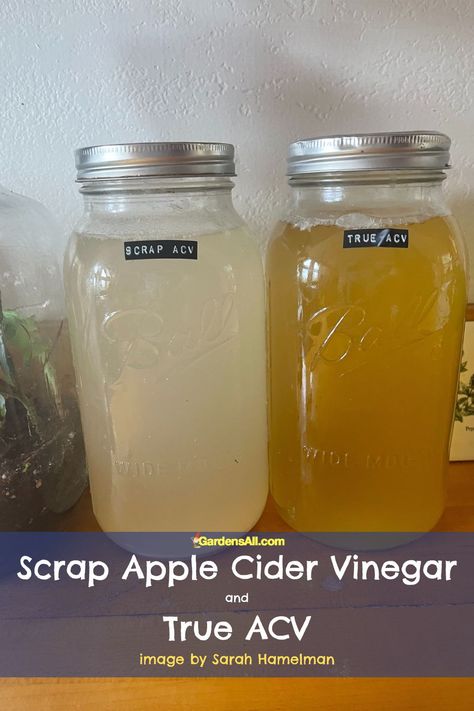 How To Make Homemade Apple Cider Vinegar, How To Make Acv At Home, Apple Cider Vinegar Recipes How To Make, Apple Vinegar Recipes, Homemade Acv Recipe, How To Make Apple Cider Vinegar Homemade, Home Made Apple Cider Vinegar Recipe, Making Apple Cider Vinegar, Uses For Apple Cider Vinegar