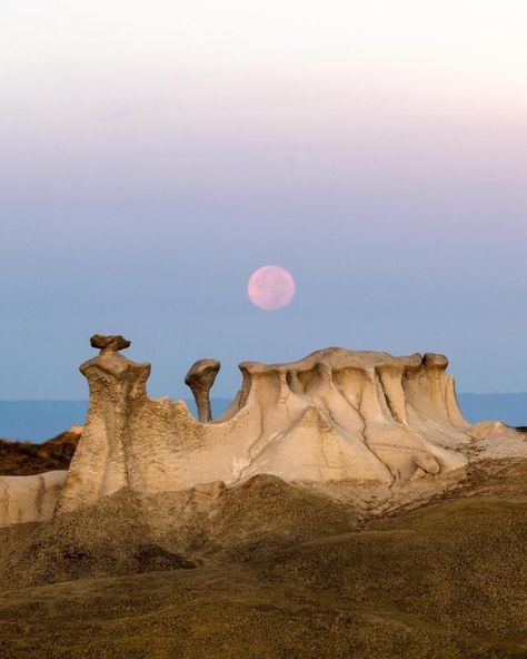 New Mexico Nature, Mexico Landscape Photography, Badlands Photography, New Mexico Pictures, Sublime Photography, New Mexico Photography, New Mexico Travel, Animals In Nature, New Mexico Landscape