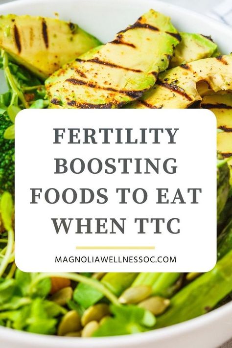 Want to get pregnant quick? Add these fertility super foods to your diet to improve your fertility health. Eating foods that promote fertility when you are trying to conceive can increase egg quality, improve sperm count, balance hormones and boost your chances of IVF success. Magnolia Wellness OC | Natural Fertility, Holistic Health & TCM Fertility Superfoods, Ttc Diet, Foods To Get Pregnant, Ways To Increase Fertility, Ivf Diet, 1200 Calorie Diet Meal Plans, Fertility Trying To Conceive, Help Getting Pregnant, Fertility Smoothie