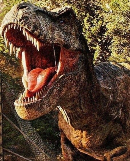 Tyrannosaurus Rex Jurassic Park, Rexy Jurassic World, T Rex Aesthetic, Rexy Tyrannosaurus, Animal Wallpaper Aesthetic, Dinosaur Jurassic World, Dinosaur Clothing, Jurassic World Wallpaper, Jurassic Park T Rex