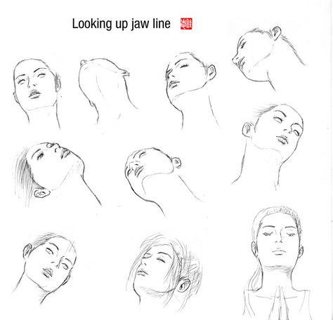 Oh. My. God. XD ! I don't know what to say. I never made any tutorial. Well, now I did. Er - Should I be happy with it? XD Edit: Over a 100 favs now. w00t! Draw A Face, Profile Drawing, Some Sketches, Line Sketch, Jaw Line, Drawing Heads, Drawing Quotes, Body Drawing, Human Face