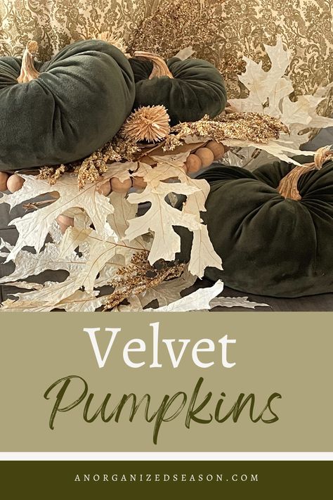 Velvet Pumpkins Display Fall Decorating, Diy Velvet Pumpkins, Velvet Pumpkin Diy, Velvet Pumpkin Decor, Velvet Pumpkins Display, Making Velvet Pumpkins, Pumpkins For Sale, Pumpkin Inspiration, Decoupage Pumpkins