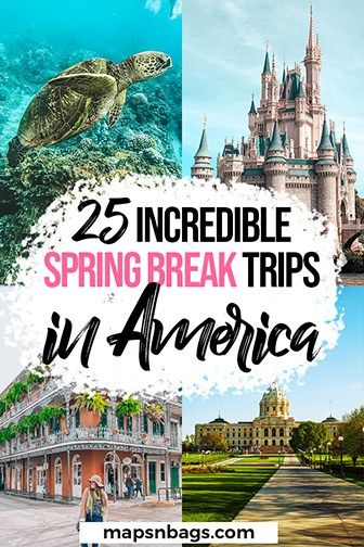 Best Spring Break Destinations In The Us, Spring Break Places To Go, Spring Break Kids Family Trips, Texas Spring Break With Kids, Spring Break Ideas For Teens, Spring Break Destinations Usa, Cheap Spring Break Destinations, Spring Break Family Destinations, Best Spring Break Vacations With Kids