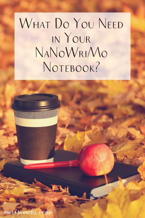 Gather all your Preptober work in one place by keeping a NaNoWriMo notebook! Check out this list of what your writer's notebook needs. #writing #novelwriting #fictionwriting Novel Planning Notebook, Nanowrimo Aesthetic, Preptober Nanowrimo, 30 Days Writing, Nanowrimo 2023, Author Notebook, Fiction Writing Ideas, Nanowrimo Prep, Fiction Writing Tips