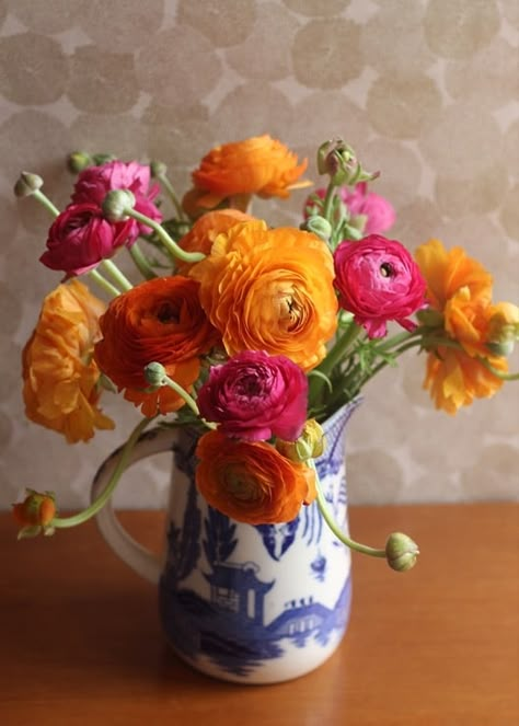 Decorating with Ranunculus - Brenda Ponnay shares her trip to the Ranunculus Fields in Carlsbad, California. | ToriAvey.com #ranunculus #ranunculusfields #flowers #blooms #spring #springblooms #ranunculusblooms #carlsbad #california #carlsbadcalifornia #springtime #springhasarrived #outdooractivities #decor #decorating Ranunculus Arrangement, Ranunculus Bouquet, Sea Of Love, Flowers To Paint, Carlsbad California, Ranunculus Flowers, Beautiful Bouquet Of Flowers, Beautiful Flower Arrangements, Blue And White Porcelain