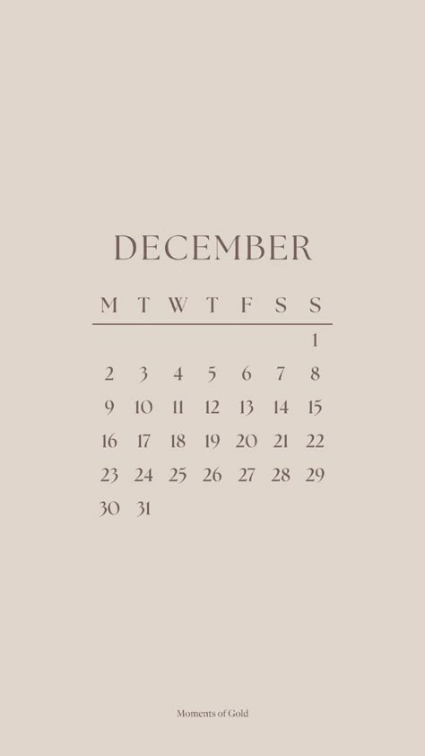 Phone Wallpaper Beige, Gold Stationery, Calendar Widget, December Calendar, Widget Design, Winter Mood, Calendar Wallpaper, December 2024, Clean Aesthetic