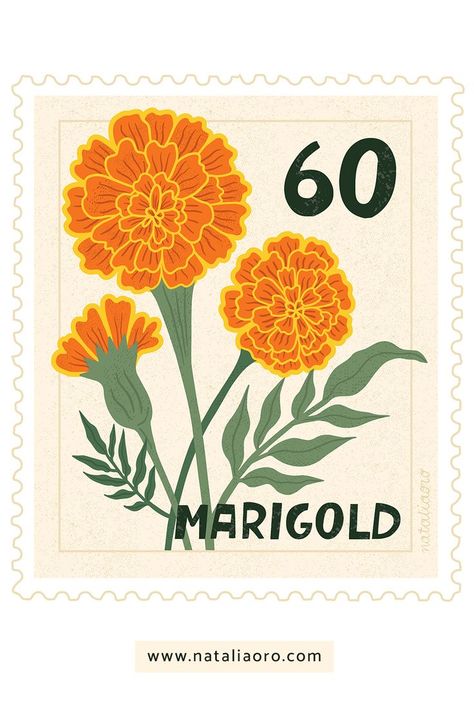 Realistic Flower Drawing, Marigold Tattoo, Pumpkin Tattoo, Mexican Flowers, Colourful Style, School Murals, Indian Flowers, Marigold Flower, Post Stamp