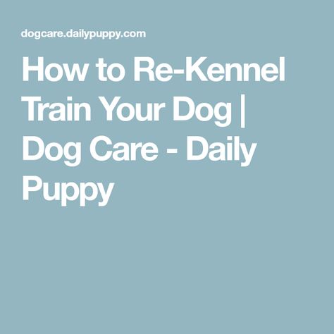 How to Re-Kennel Train Your Dog | Dog Care - Daily Puppy Dog Meds, Meds For Dogs, Veterinary Hospital, Train Your Dog, In The Beginning, Dog Dog, Training Your Dog, Dog Care, Dog Training