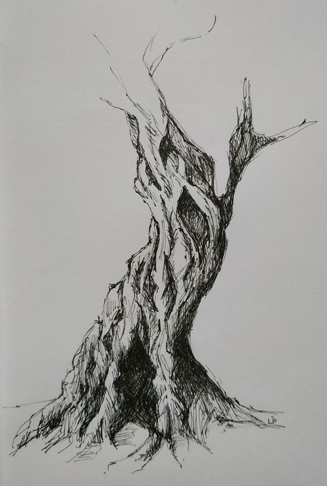 Tree Ink Sketch, Ink Trees Drawing, Ink Drawing Tree, Ink And Pencil Drawing, Nature Ink Drawing, Nature Pen Art, Nature Pen Drawing, Tree Art Reference, Tree Pen Sketch