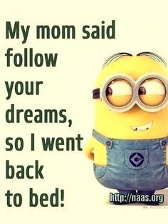 Jokes Hilarious Funny Minion, Minion Quotes Funny Hilarious, Hilarious Memes Truths, Funny Minion Pictures Jokes, Life Memes Funny Truths Hilarious, Funny Quotes Clean Hilarious, Minion Jokes Friendship, Minion Jokes Clean, Funny Memes. Hilarious Cartoon