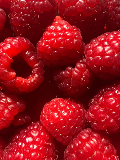 Smoothie On The Go, Food Paintings, Love And Pain, Healthy Grocery List, Red Raspberry, Raspberry Red, Four Season, About Nature, Red Fruit