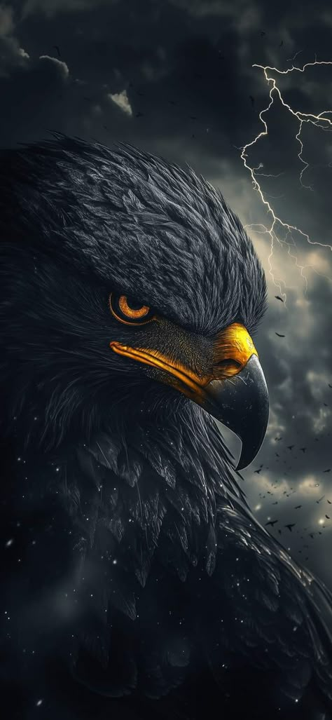 Eagle Images, Eagle Wallpaper, Best Wallpaper Hd, Eagle Pictures, Android Wallpaper Art, Wallpaper Tablet, Wallpaper For Pc, Best Wallpaper, Birds Of Prey