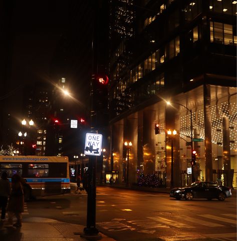 #stockphotography #chicago #nightlife #cityaesthetic #chicagonight Chicago Nightlife, Chicago, Pins