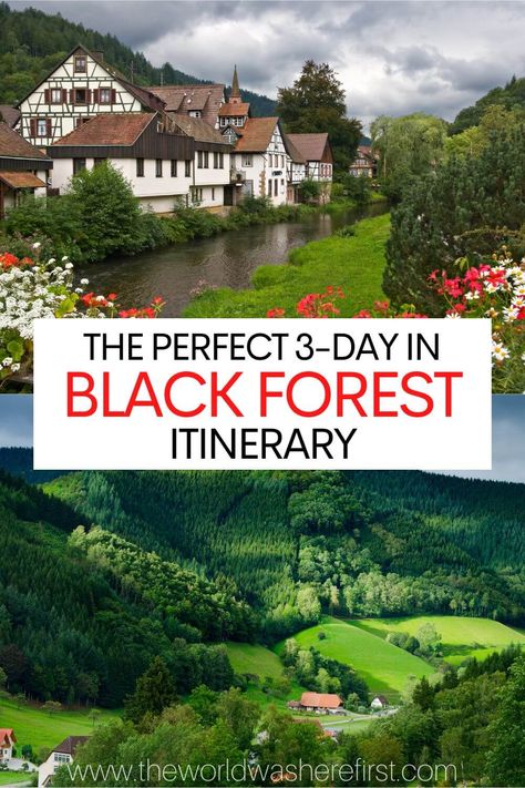 Germany Vacation Destinations, Black Forest Vacation, 3 Days In Germany, Day Trips From Stuttgart Germany, Visit Germany Bucket List, South Germany Travel, Black Forest Travel, Black Forest Germany Itinerary, Germany Itinerary 1 Week