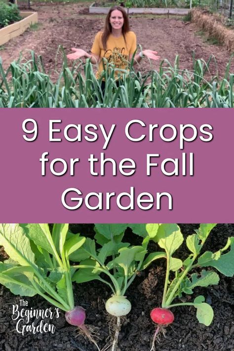 What crops can you grow in your fall vegetable garden? While there are many options, these may be the easiest for a beginner to start with! Fall Garden Planting, Garden Beginner, Fall Vegetable Garden, Fall Crops, Tattoo Plant, Fall Crop, Vegetable Patch, Vegetable Garden Tips, Starting Seeds Indoors