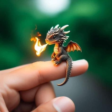 Dragon Medieval, Baby Dragon Art, Tiny Dragon, Dragon Dreaming, Dragon Artwork Fantasy, Dragon Sculpture, Gra O Tron, Cute Fantasy Creatures, Dragon Pictures