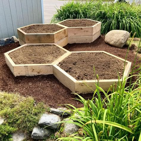 Hexagonal Raised Garden Beds, Hexagon Raised Bed, Raised Front Garden, Unique Raised Garden Beds Diy, Alternative Raised Garden Beds, Garden Box Design Layout, Pentagon Garden Bed, Island Garden Bed Shapes, Raised Garden Around Tree