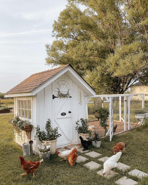 Cute Chicken Coops, Chicken Coop Garden, Backyard Chicken Coop Plans, Backyard Chicken Farming, Future Farms, Dream Life House, Coop Plans, Backyard Chicken Coops, Cute Chickens