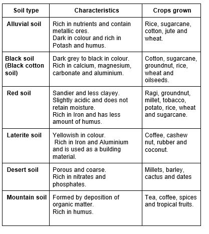 Soil is an important natural resource. Plants need soil to grow. Microscopic organisms such as bacteria, fungi, microscopic algae and protozoa live in the soil. Soil beetles, soil mites, earthworms, nematodes, millipedes, centipedes, ants and termites also live in the soil. Types Of Soil Chart, Fungi Microscopic, Soil Mites, Science Study Tips, Earth's Atmosphere Layers, Soil Classification, Grade 7 Science, Microscopic Algae, Microbiology Study