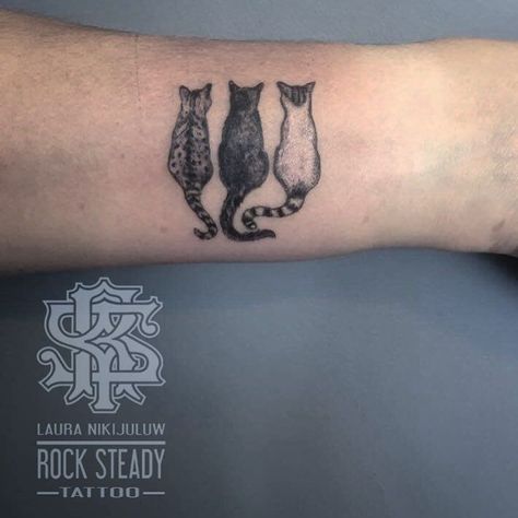 awesome cat tattoo ideas © tattoo artist ✿ Salmontattoo Austin ✧ @pettattoo.salmon ✿ ♡🧿♡🧿♡ #cattattoos #cooltattoos #inked #tattoolvoe #tattooinspiration #cats #besttattooideas Three Cat Tattoo Design, Three Cat Tattoo, 3 Cat Tattoo, Three Cats Tattoo, 3 Cats Tattoo, Portrait Tattoo Sleeve, Cat Portrait Tattoos, Dog Portrait Tattoo, Cat Tattoo Ideas