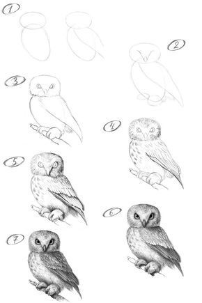 How To Sketch Animals Step By Step, Eagle Owl Drawing, How To Draw Realistic Animals Step By Step, Owl Realistic Drawing, Realistic Cat Drawing Step By Step, Owl Drawing Tutorial, Drawing Owls Easy Step By Step, How To Paint An Owl Step By Step, Animals Step By Step Drawings