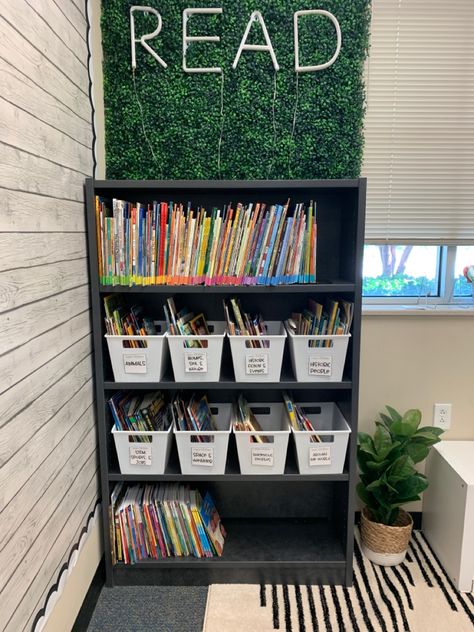 Classroom Office Organization, Classroom Library Small Space, Stage 3 Classroom Setup, Grass Wall Backdrop Classroom, Classroom Library Set Up Elementary, Small Classroom Library Ideas, Boho Classroom Wall Decor, Plant Themes For Classroom, Grass Wall Classroom Decor