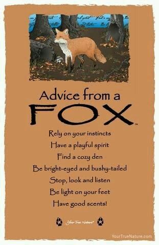 Fox Quotes, Funny Sayings And Quotes, Spirit Animal Meaning, Good Scents, Spirit Animal Totem, Wood Badge, Cozy Den, Animal Spirit Guides, Animal Medicine