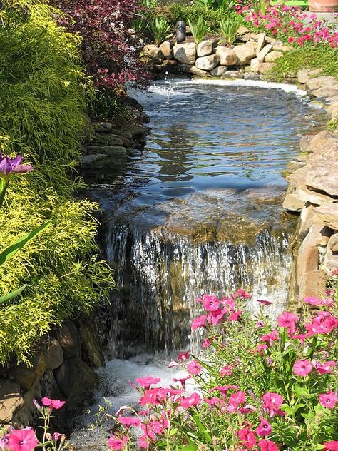 Taman Air, Garden Waterfall, Cottage Aesthetic, Waterfalls Backyard, Small Waterfall, Water Feature, Nature Aesthetic, Dream Garden, Garden Paths