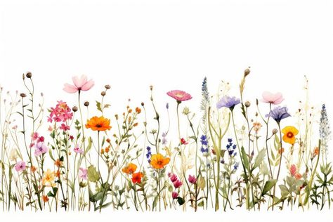 Flower grassland outdoors nature.  | premium image by rawpixel.com Multicolour Wedding, Wild Flowers Painting, Wildflower Mural, Decoupage Paper Printable, Arabian Wedding, Bird Painting Acrylic, Wildflower Drawing, Fairy Garden Birthday Party, Watercolor Flower Background