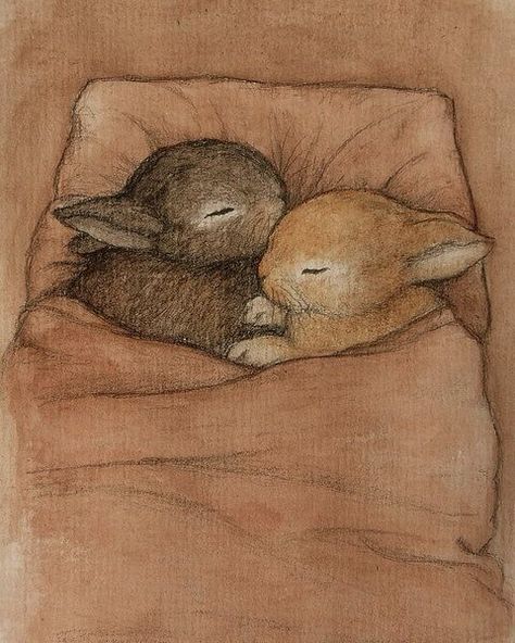 Sleeping Bunnies Bunny Drawing, Easter Images, Bunny Art, Me And Him, Me And Who, Bird Drawings, Baby Bunnies, Beatrix Potter, A Drawing