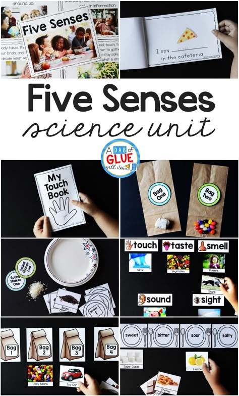 Engage your class in an exciting hands-on experience learning the five senses! Perfect for science activities for Kindergarten, First Grade, and Second Grade classrooms and packed full of inviting science activities. Students will learn five senses science lessons through poems, hands-on senses lessons, and inviting senses printables. This pack is great for homeschoolers, unit studies, and includes science lesson plans! Kindergarten Science Unit Studies, Five Senses Projects For Kids, 5 Senses Activities For Elementary, Five Senses Crafts For Kindergarten, Five Senses Kindergarten Activities, 5 Senses Craft Kindergarten, The Five Senses Kindergarten, Unit Studies Homeschool Kindergarten, Senses Kindergarten Activities