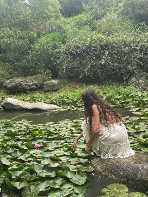 Water Lilies, Lily Pads, A Woman, Lily, Water